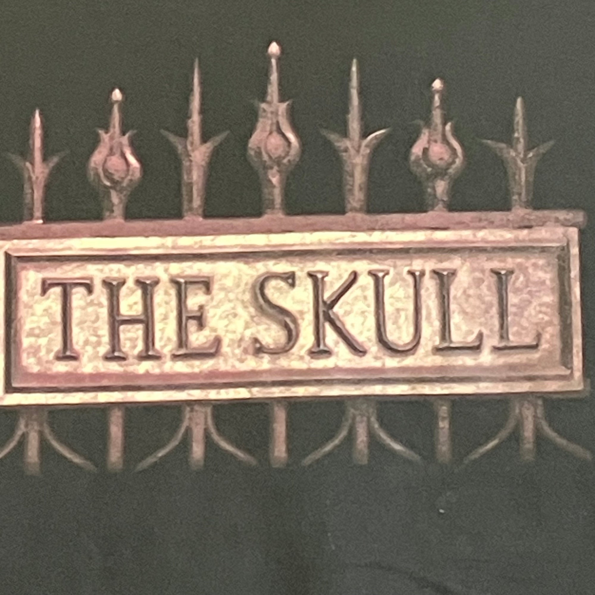 The Skull : 2018 tour shirt