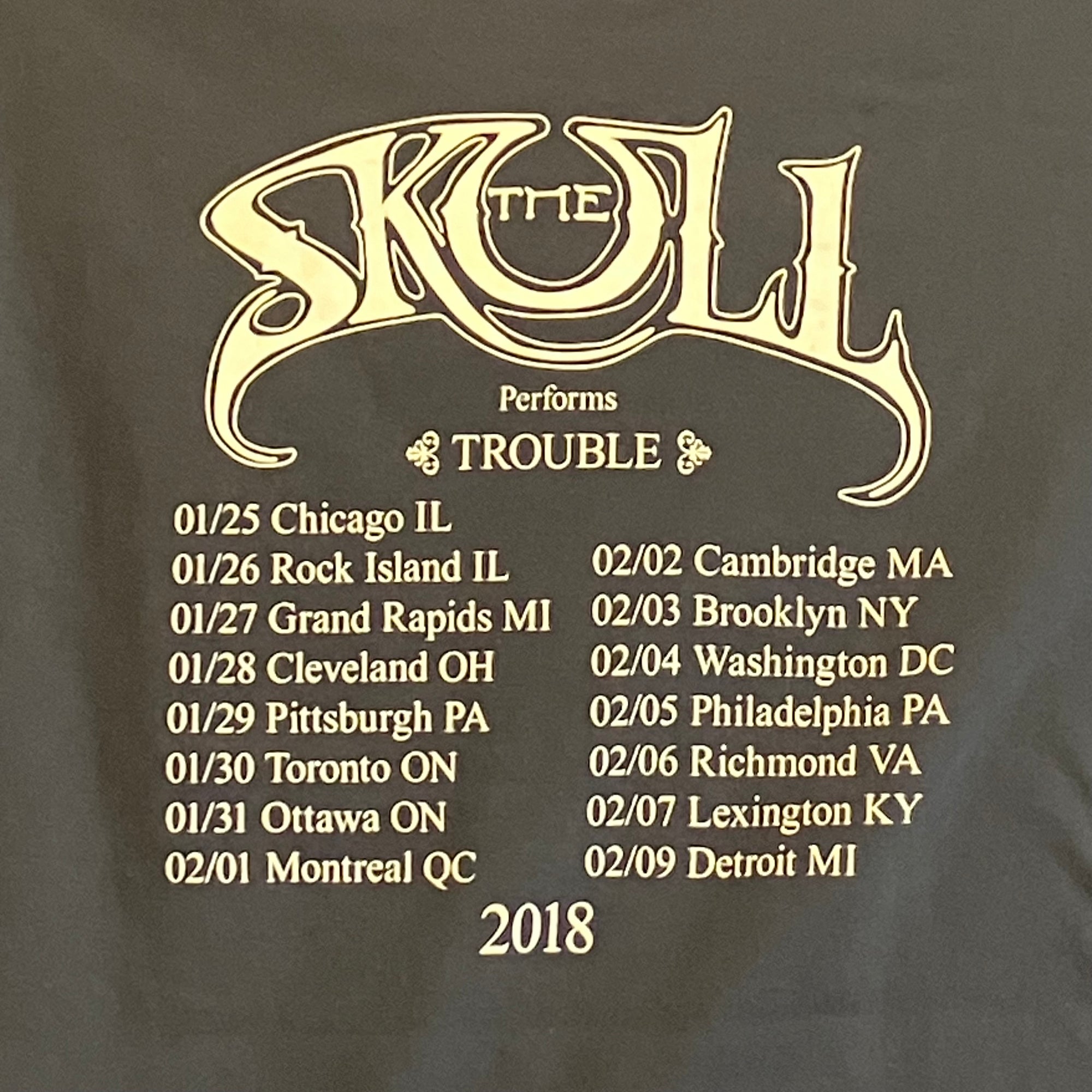 The Skull : 2018 tour shirt