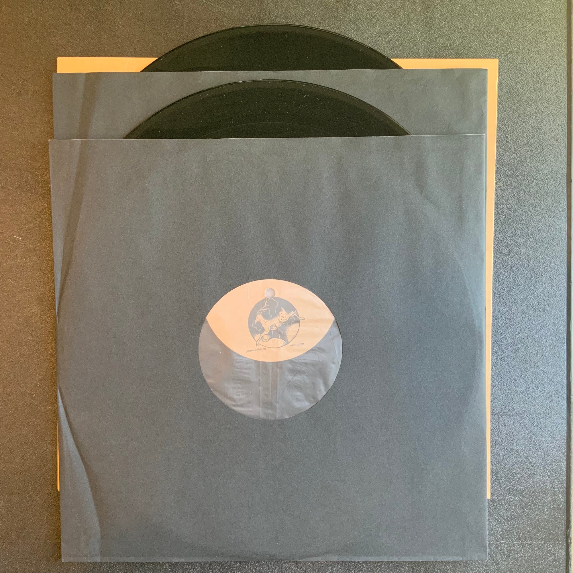 Lux Interna : There is Light in the Body… : Vinyl LP