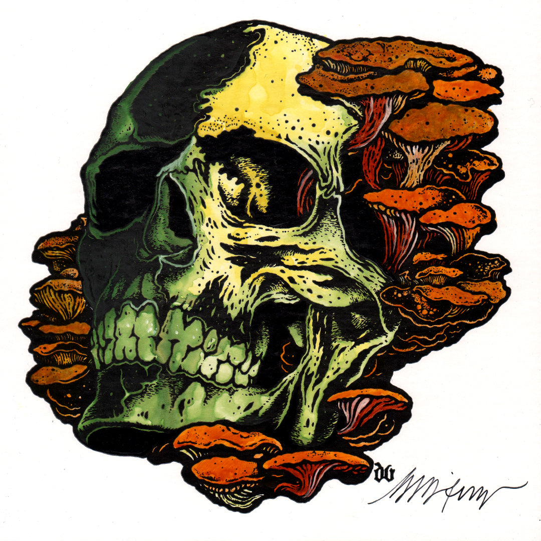 Skull with Shrooms : Painted Letterpress Panel – Samaritan Press